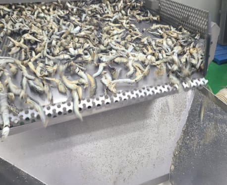 원물 투입구(바이브레이터)